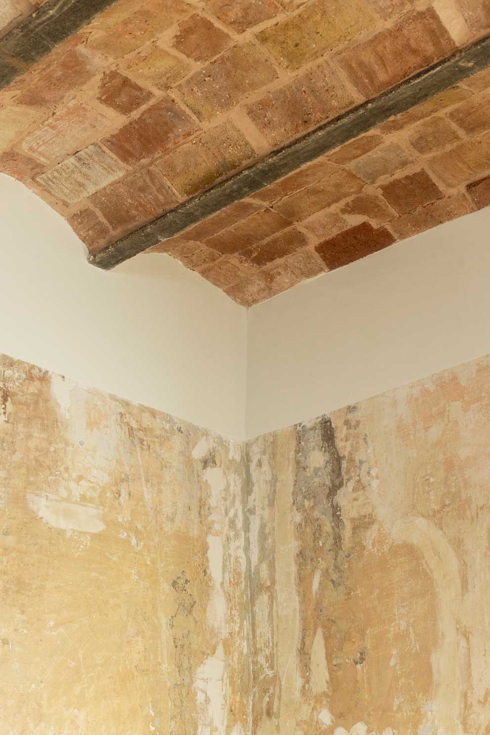 planeta-alteres-proyectos-terracotta22